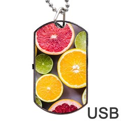 Oranges, Grapefruits, Lemons, Limes, Fruits Dog Tag Usb Flash (one Side) by nateshop