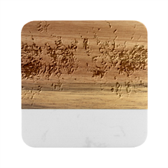 Sea Anemone Marble Wood Coaster (square)
