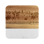 Sea anemone Marble Wood Coaster (Square) Front