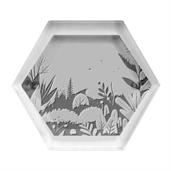 Nature Night Bushes Flowers Leaves Clouds Landscape Berries Story Fantasy Wallpaper Background Sampl Hexagon Wood Jewelry Box