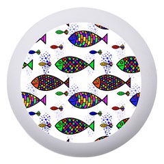 Fish Abstract Colorful Dento Box With Mirror