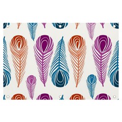 Pen Peacock Colors Colored Pattern Banner And Sign 6  X 4 