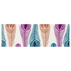 Pen Peacock Colors Colored Pattern Banner And Sign 12  X 4  by Maspions