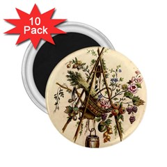 Vintage-antique-plate-china 2 25  Magnets (10 Pack)  by Maspions