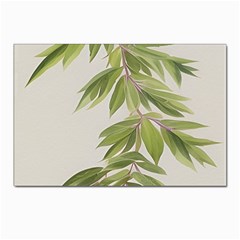 Watercolor Leaves Branch Nature Plant Growing Still Life Botanical Study Postcard 4 x 6  (pkg Of 10) by Posterlux