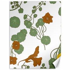 Nasturtium Flowers Plant Leaves Canvas 36  X 48 