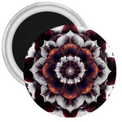 Mandala Design Pattern 3  Magnets