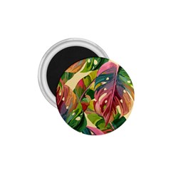 Monstera Colorful Leaves Foliage 1 75  Magnets