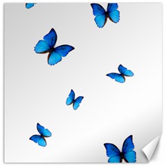 Butterfly-blue-phengaris Canvas 12  x 12 