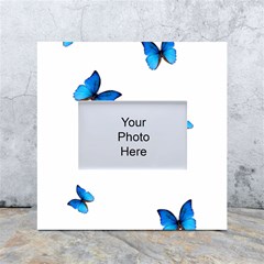 Butterfly-blue-phengaris White Box Photo Frame 4  X 6  by saad11