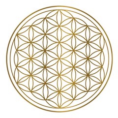 Gold Flower Of Life Sacred Geometry Play Mat (Rectangle)