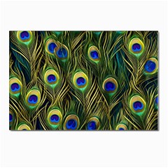 Peacock Pattern Postcard 4 x 6  (pkg Of 10)