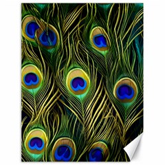 Peacock Pattern Canvas 18  X 24 