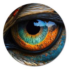 Eye Bird Feathers Vibrant Magnet 5  (round)