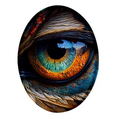 Eye Bird Feathers Vibrant Oval Glass Fridge Magnet (4 Pack)