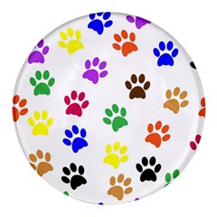 Pawprints Paw Prints Paw Animal Round Glass Fridge Magnet (4 Pack)