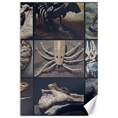 Paleontology Museum Pieces Photo Colllage Canvas 12  X 18 