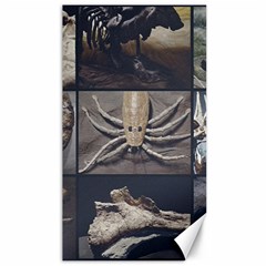 Paleontology Museum Pieces Photo Colllage Canvas 40  X 72 