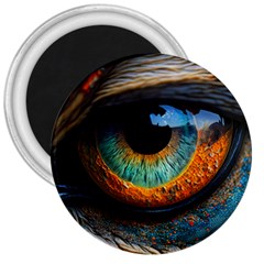 Eye Bird Feathers Vibrant 3  Magnets