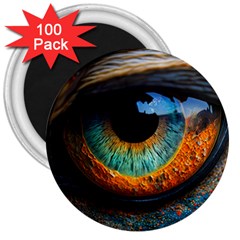 Eye Bird Feathers Vibrant 3  Magnets (100 Pack)