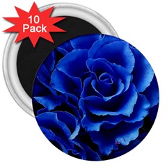 Blue Roses Flowers Plant Romance Blossom Bloom Nature Flora Petals 3  Magnets (10 Pack) 