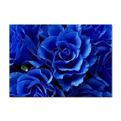Blue Roses Flowers Plant Romance Blossom Bloom Nature Flora Petals Sticker A4 (100 Pack)