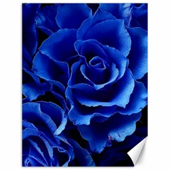 Blue Roses Flowers Plant Romance Blossom Bloom Nature Flora Petals Canvas 18  X 24 