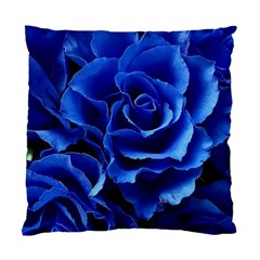 Blue Roses Flowers Plant Romance Blossom Bloom Nature Flora Petals Standard Cushion Case (two Sides)