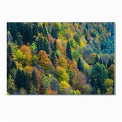 Forest Trees Leaves Fall Autumn Nature Sunshine Postcards 5  X 7  (pkg Of 10) by Ravend