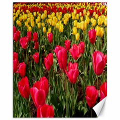 Yellow Pink Red Flowers Canvas 11  X 14  by Azkajaya