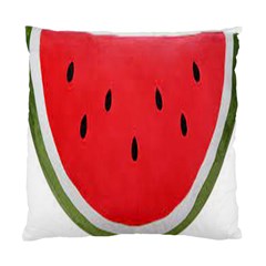 Watermelon Pillow Fluffy Standard Cushion Case (two Sides) by Azkajaya