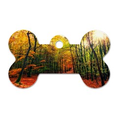 Forest Woods Autumn Nature Dog Tag Bone (one Side)