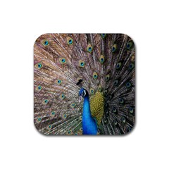 Peacock Bird Animal Peafowl Rubber Coaster (square)