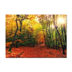 Forest Woods Autumn Nature Sticker A4 (10 Pack)