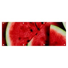 Watermelon, Fruit, Green, Red Banner And Sign 8  X 3 