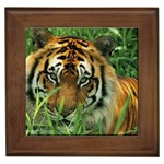 Tiger Framed Tile Front