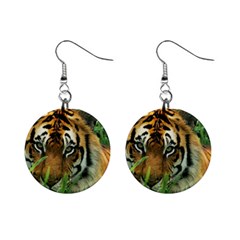 Tiger 1  Button Earrings by ironman2222