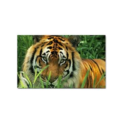 Tiger Sticker Rectangular (10 pack)