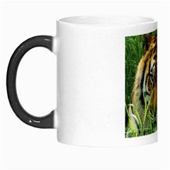 Tiger Morph Mug by ironman2222
