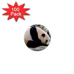 Giant Panda 1  Mini Magnet (100 Pack) 