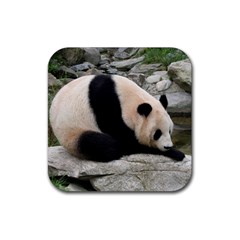 Giant Panda Rubber Square Coaster (4 Pack)