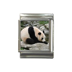 Giant Panda Italian Charm (13mm)