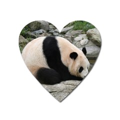 Giant Panda Magnet (heart) by ironman2222