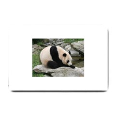 Giant Panda Small Doormat by ironman2222
