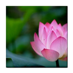 Red Pink Flower Tile Coaster