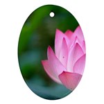 Red Pink Flower Ornament (Oval) Front