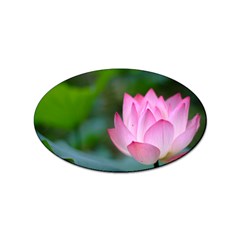 Red Pink Flower Sticker Oval (100 pack)