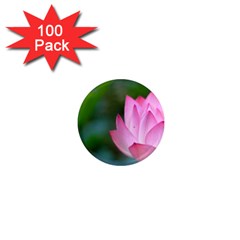 Pink Flowers 1  Mini Magnet (100 Pack)  by ironman2222