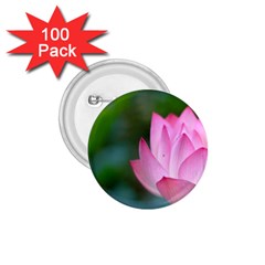 Pink Flowers 1.75  Button (100 pack) 