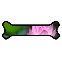 Pink Flowers Magnet (dog Bone) by ironman2222